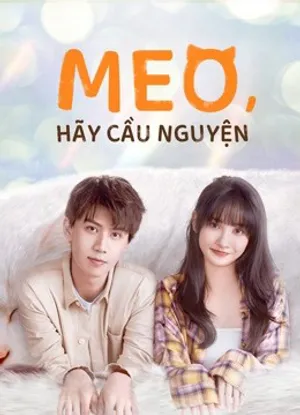 Meo, hãy cầu nguyện